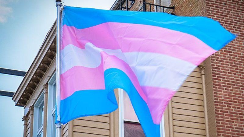 College-aged Americans show steep decline in trans identity since 2023: poll