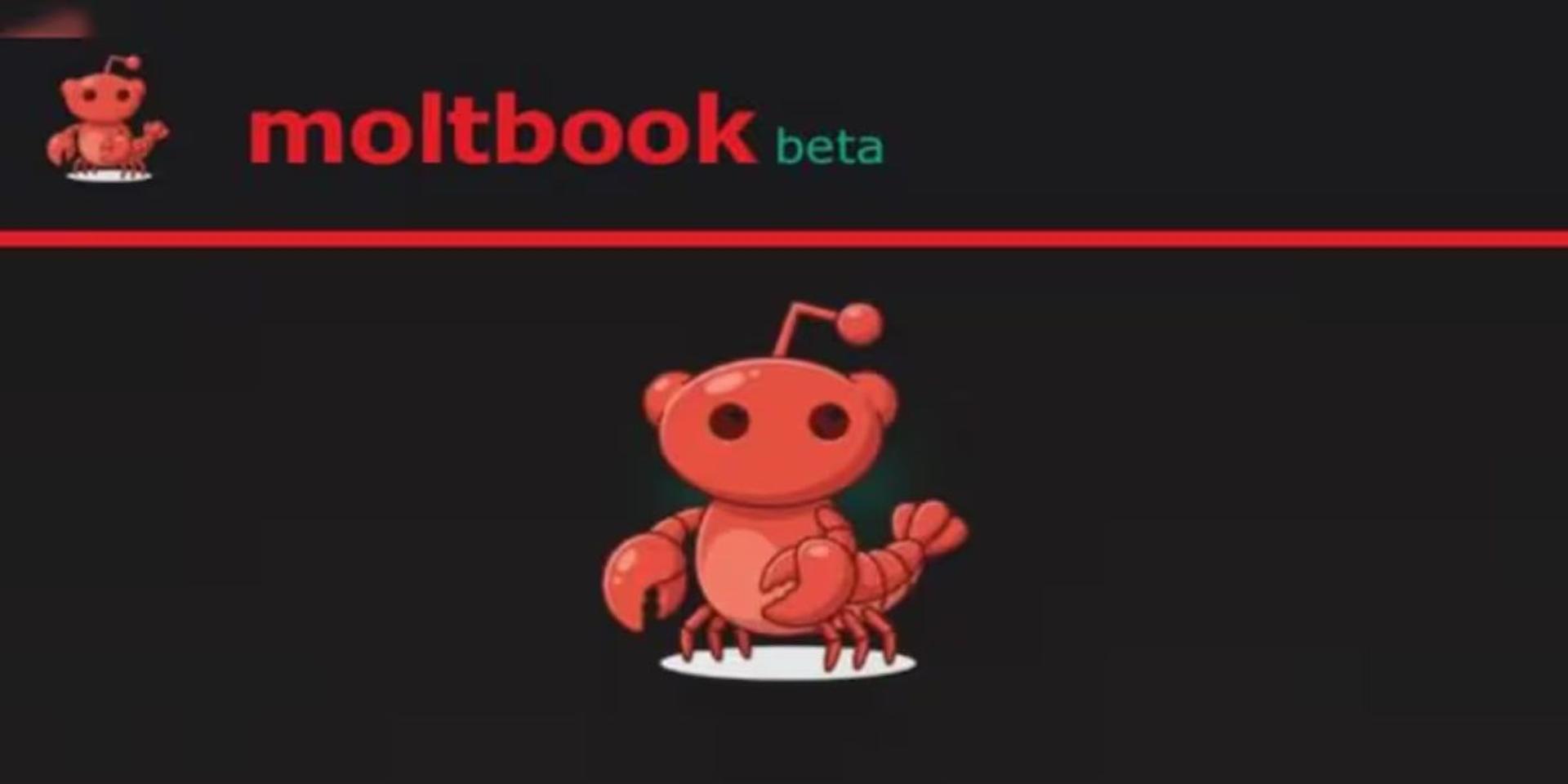 AI bots appear to have their own social media platform to complain about humans: report