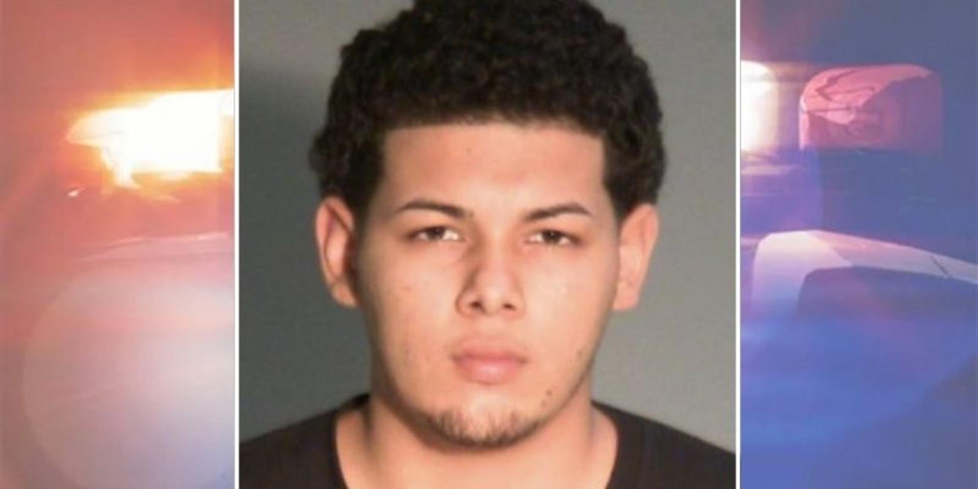 Illegal immigrant from Nicaragua charged with stabbing his mother 26 times in Wisconsin: DHS