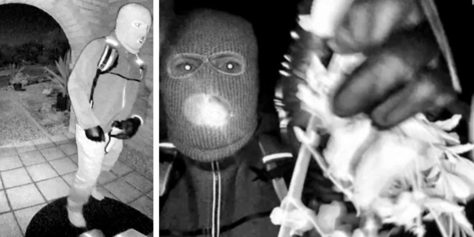 BREAKING: FBI releases images of armed suspect who tampered with camera at Nancy Guthrie's home