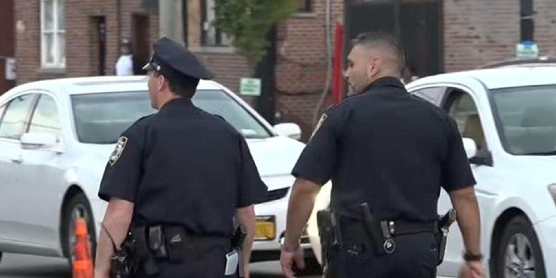 NYPD officers harassed, doxed by agitators in Mamdani's NYC