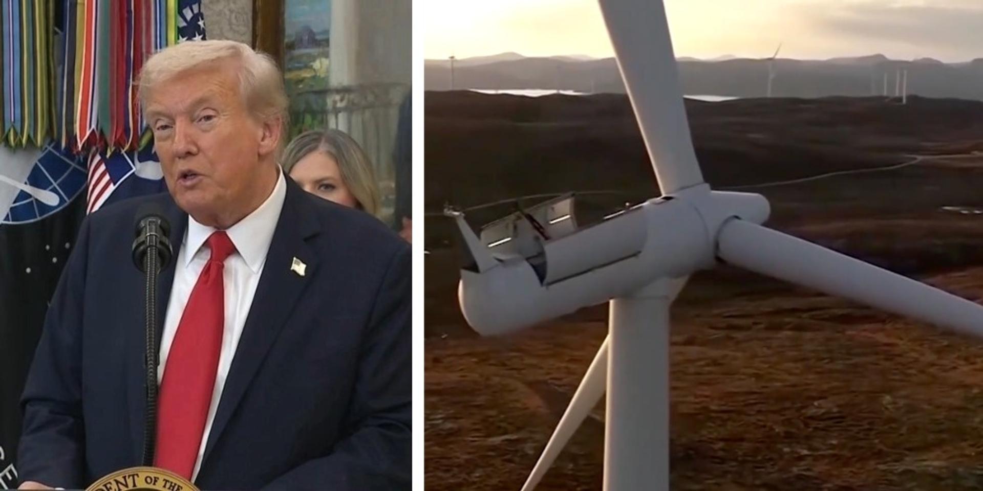 Trump admin moves to sue windmill company $32,000 for bald eagle deaths