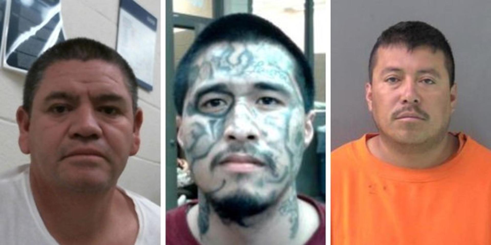 ICE arrests 356 illegal immigrant gang members in Houston area during first 6 months of Trump admin