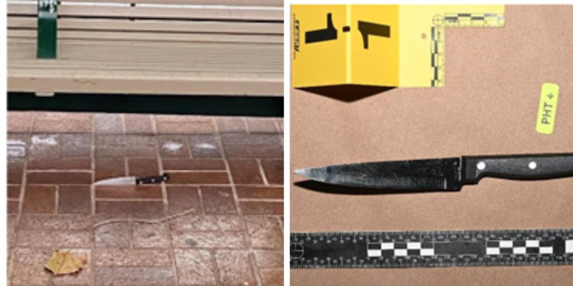 Homeless Sierra Leone national lures cops with fake 911 call then stabs officer in Bellevue, WA
