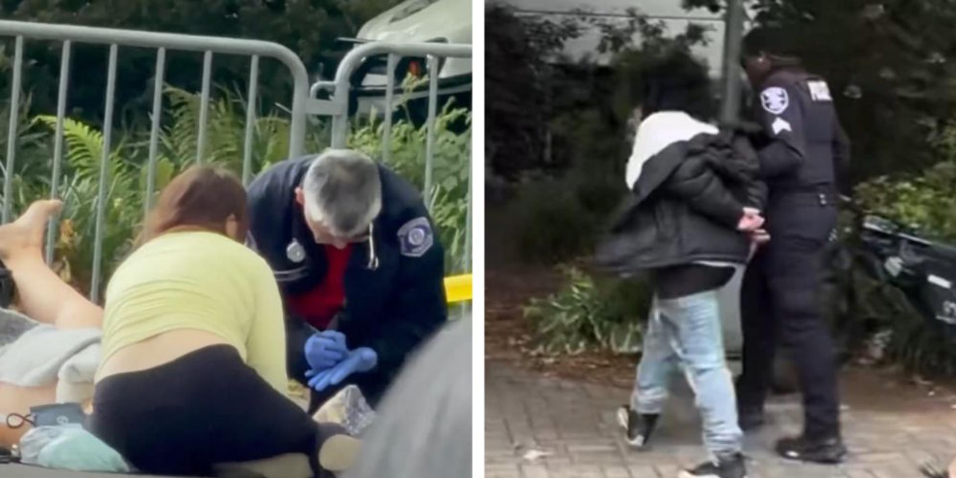 BREAKING: 3 dead, 5 injured in shooting at Bite of Seattle event, 1 suspect in custody