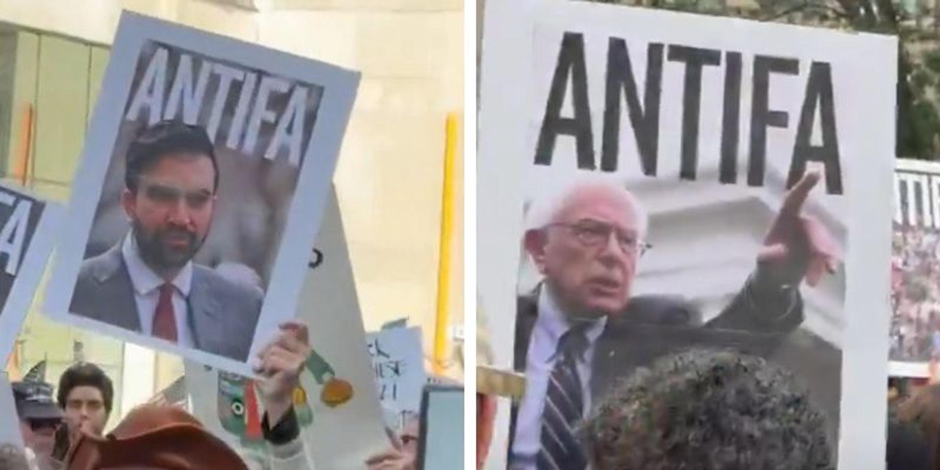 'Mamdani is Antifa': No Kings protesters claim prominent Dems all part of domestic terror group