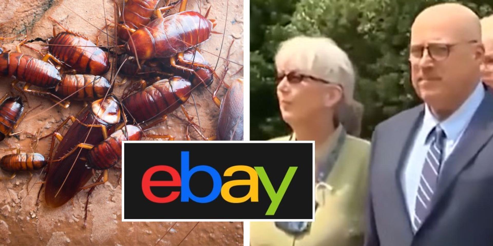 eBay to pay $56 MILLION to elderly couple after staff sent live cockroaches, fetal pig to their home in retaliation against critical newsletter coverage