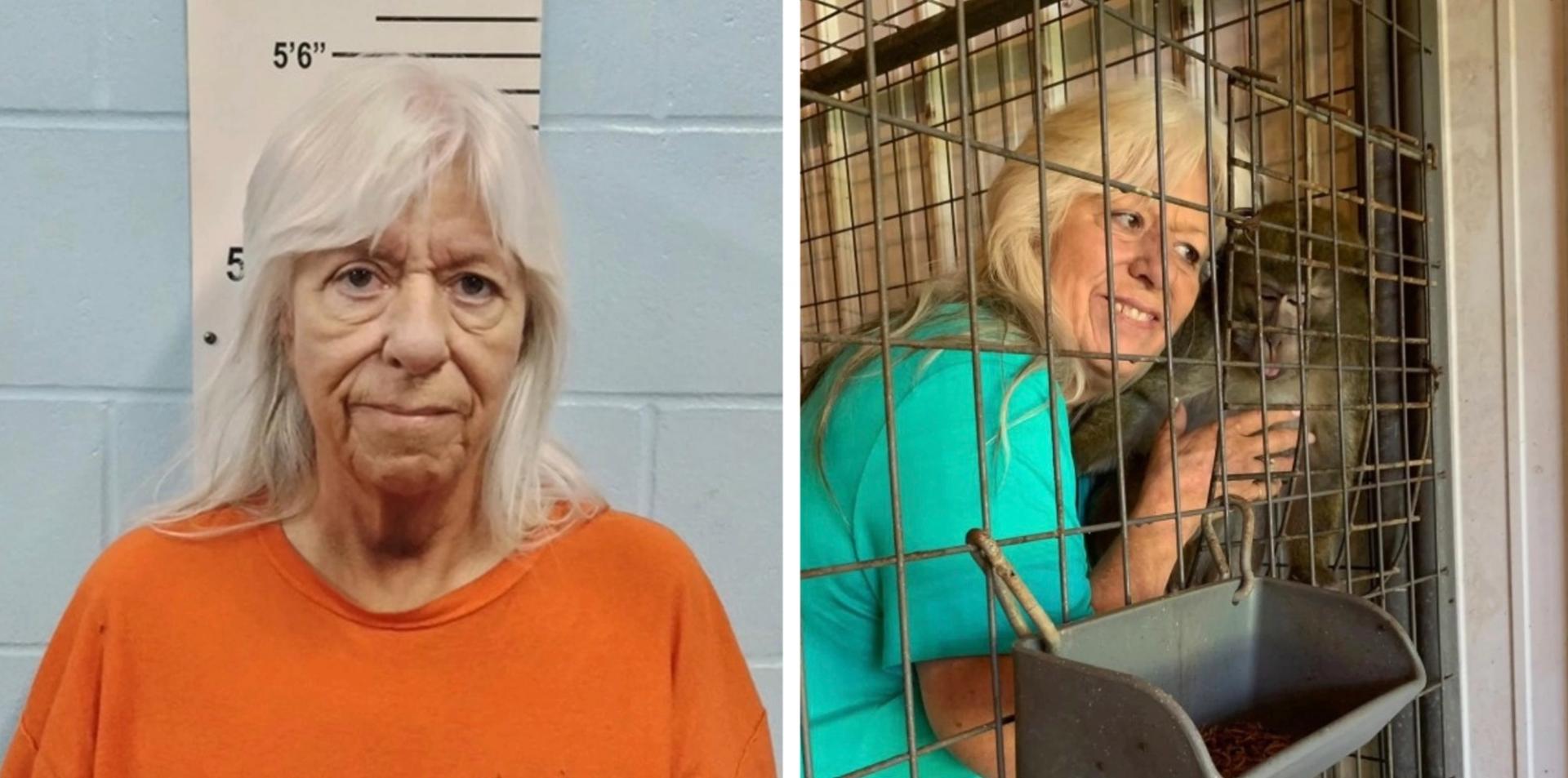 Missouri foster mom trades teen for monkey, gets probation