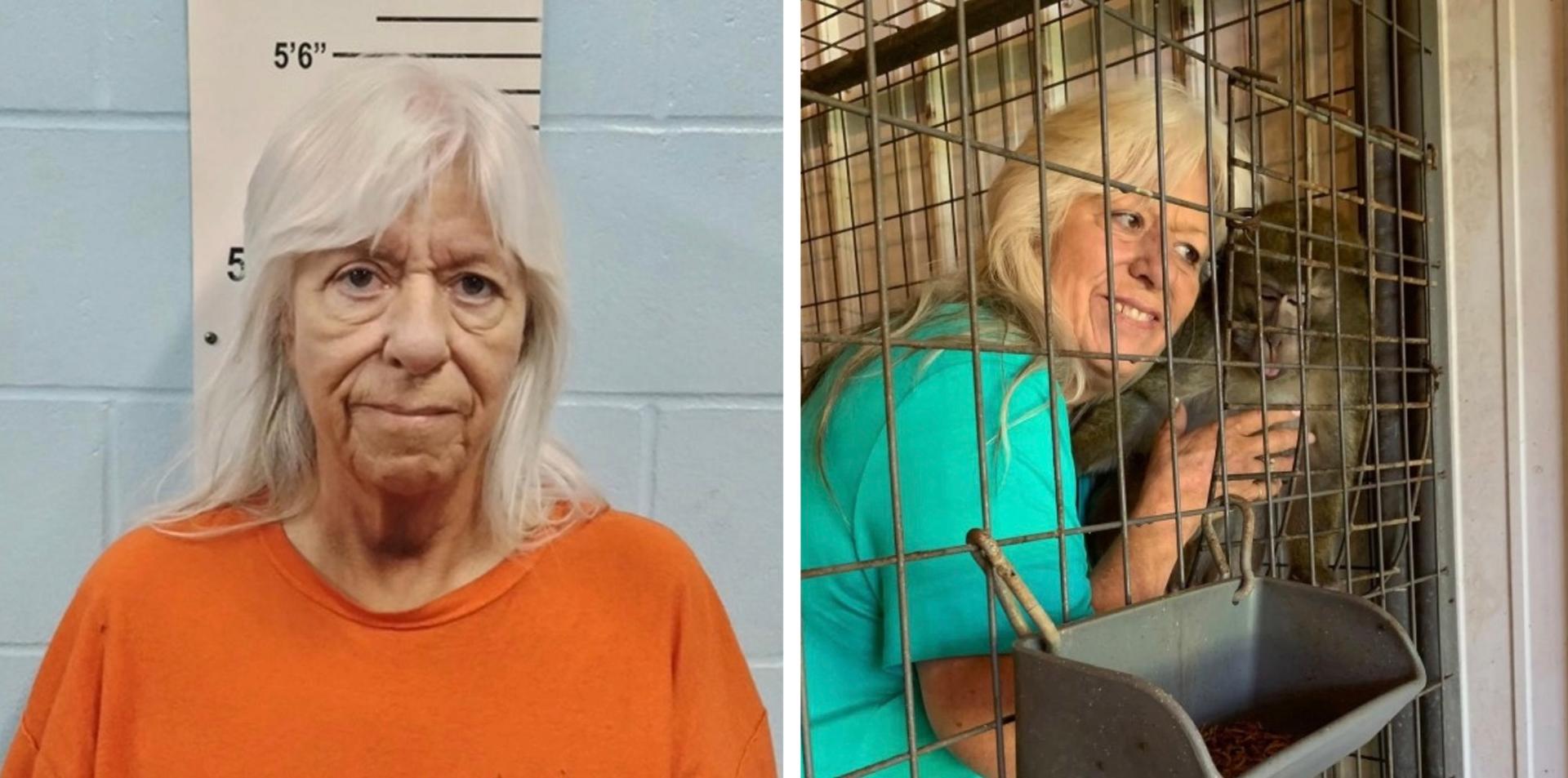 Missouri foster mom trades teen for monkey, gets probation