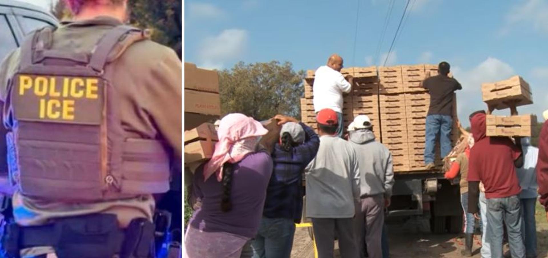 'No amnesty': House GOP divided over immigration bill that would allow illegal immigrant farm workers to remain in US