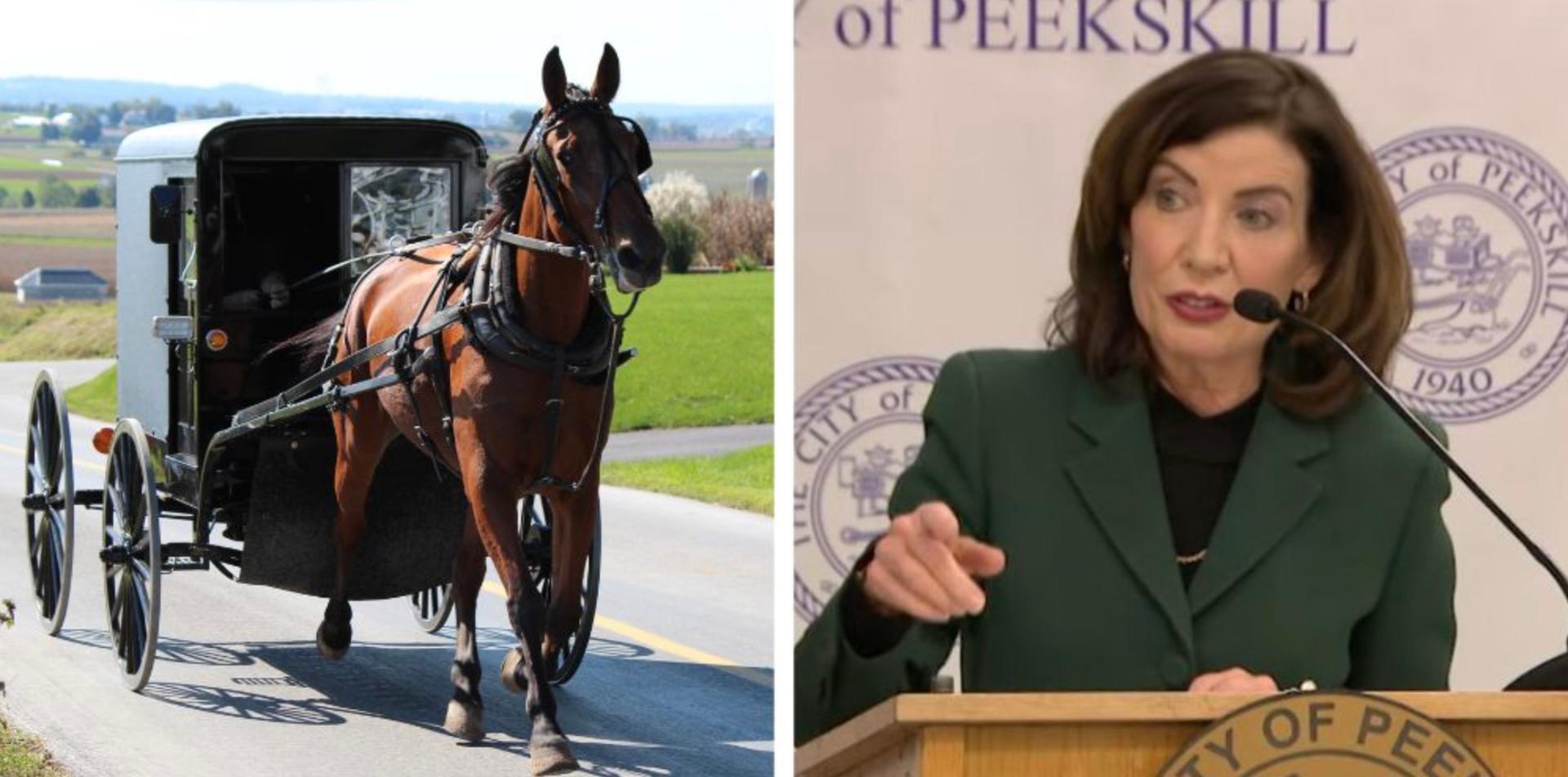 Amish threaten to leave New York if forced to vaccinate, case is heading to SCOTUS
