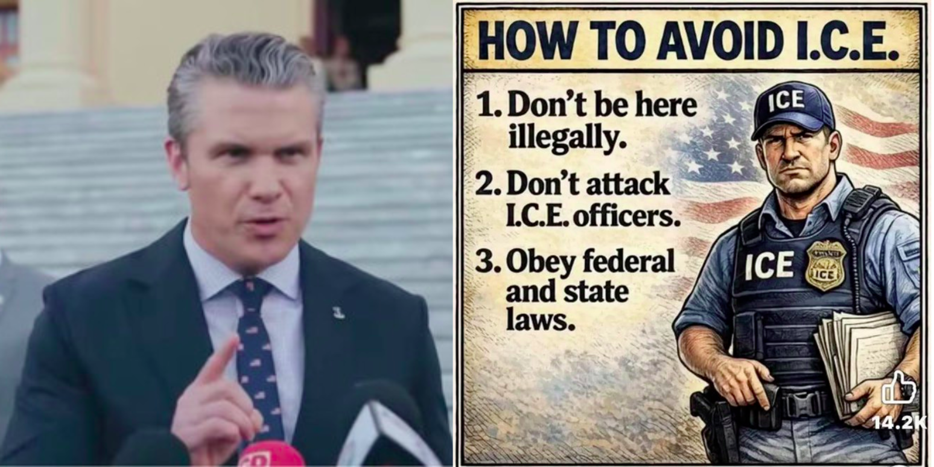 Hegseth posts ‘How To Avoid ICE' meme after armed agitator killed during Minneapolis operation