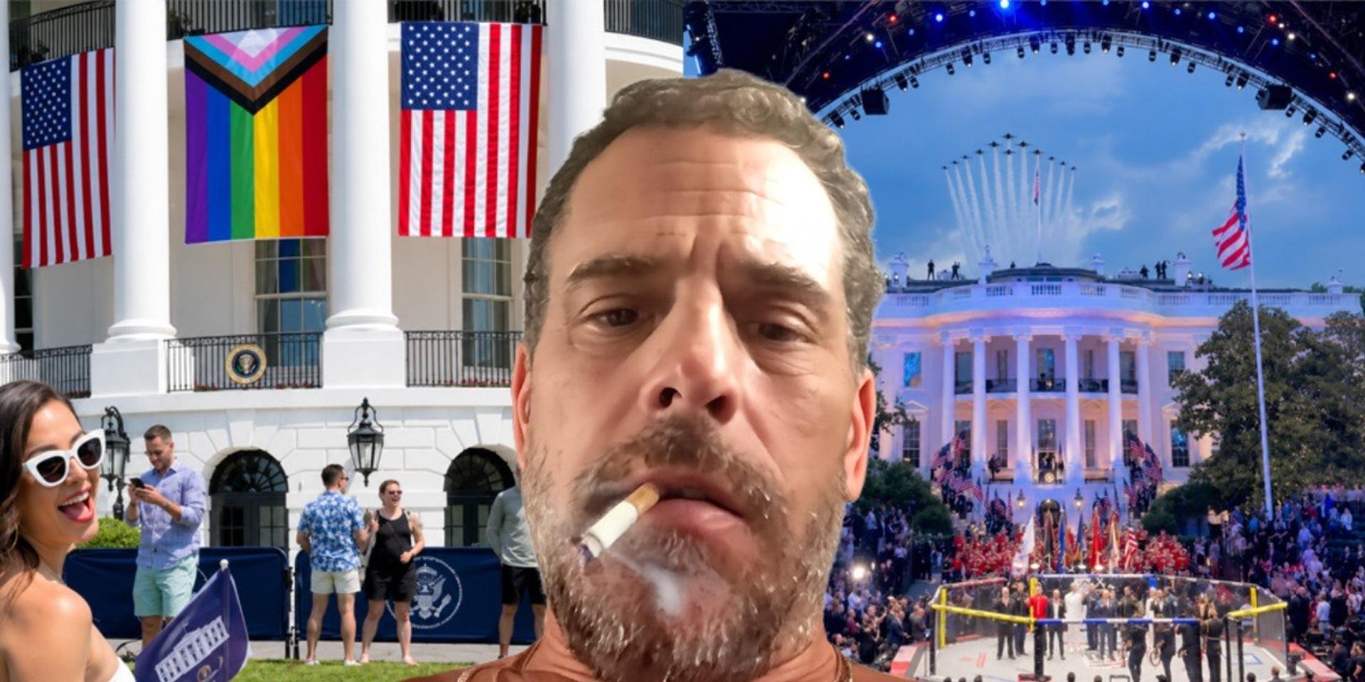 Hunter Biden says he's 'offended' by White House UFC fight: 'Some of our public spaces are sacred'