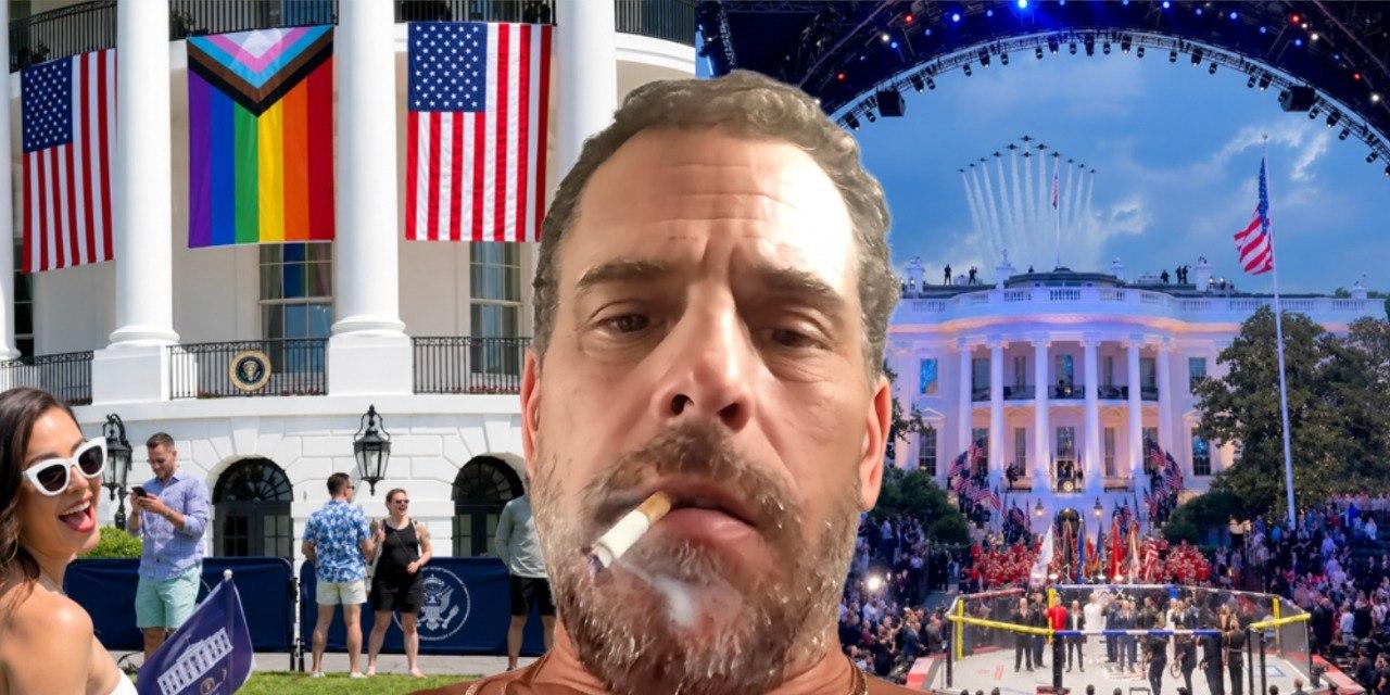 Hunter Biden says he's 'offended' by White House UFC fight: 'Some of our public spaces are sacred'