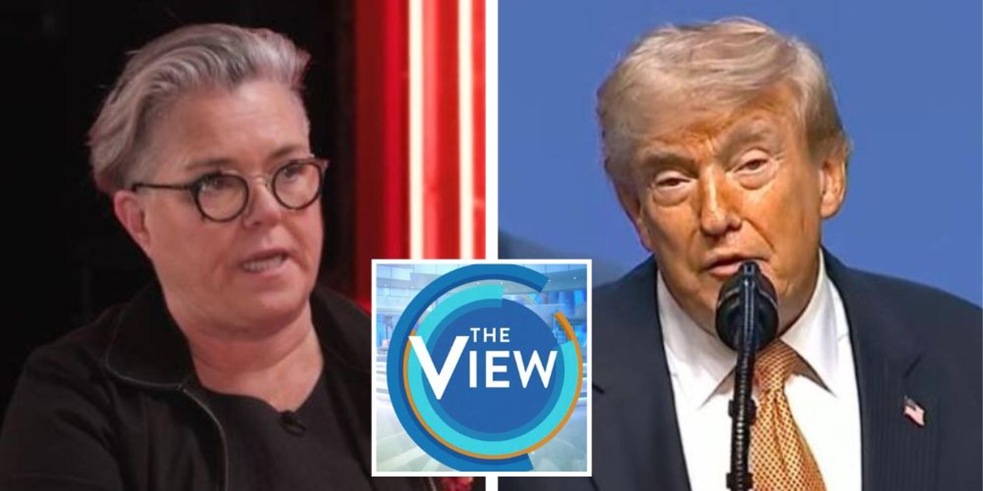 Anti-Trumper Rosie O'Donnell returns to Trump-hating ABC talk show 'The View'