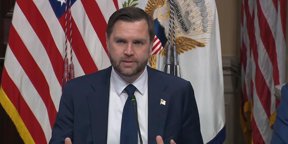 JD Vance reveals BILLIONS in fraud uncovered by task force in just 2 months