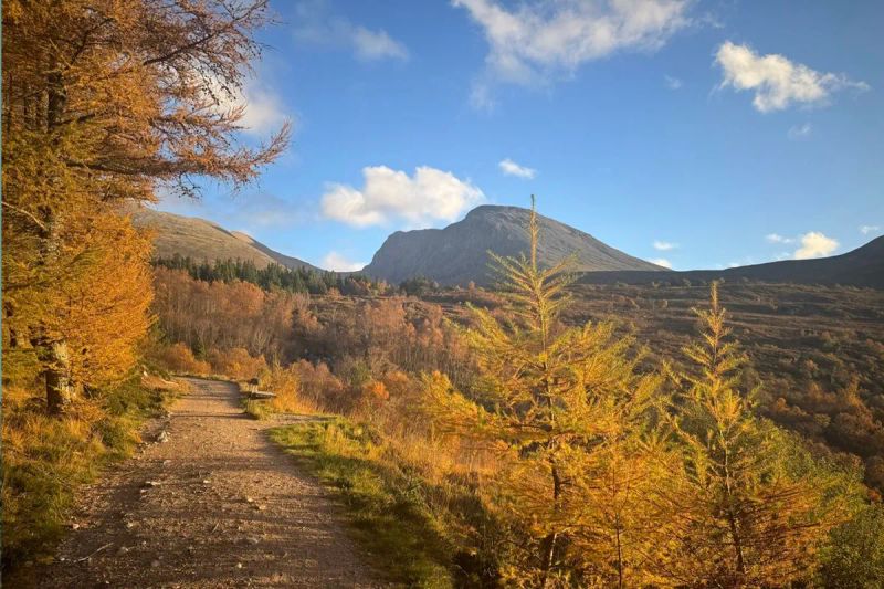 Autumn colours in the Scottish Highlands