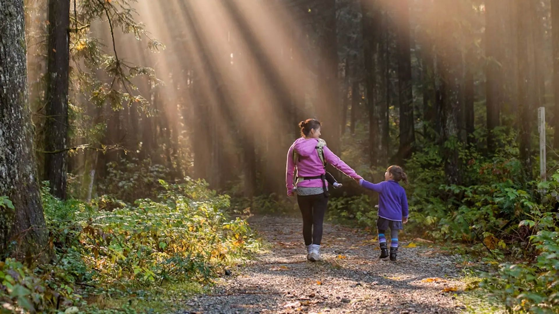 Child Friendly Activities Near Fort William