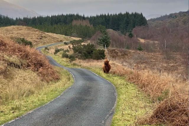 The Back Road Loop