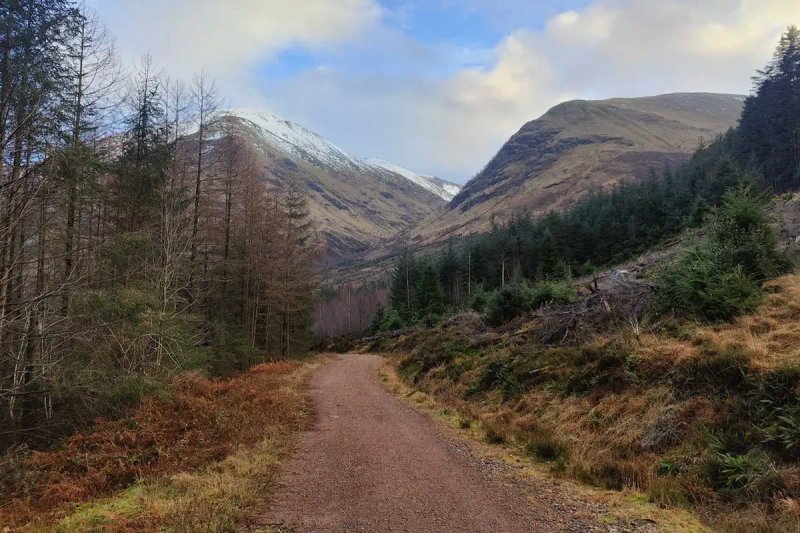 Mountain biking at Laggan Wolftrax — excellent trail centre with routes for all abilities