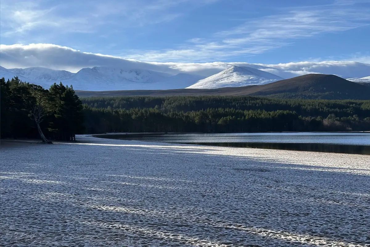 Loch Morlich Beach