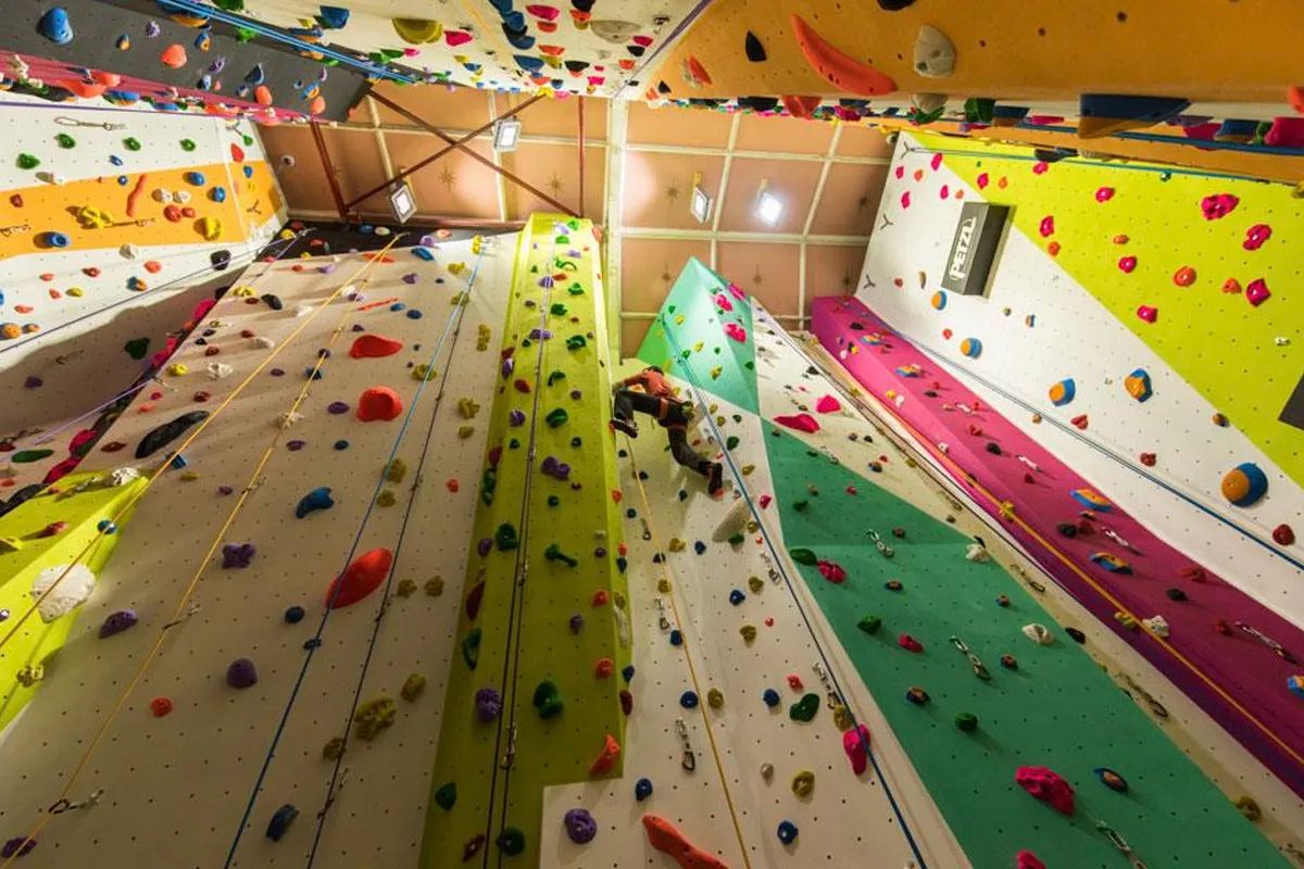 3 Wise Monkeys Climbing