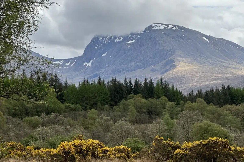 River Lochy walk from Highwinds Lodge — easy to moderate riverside walk with Highland cows