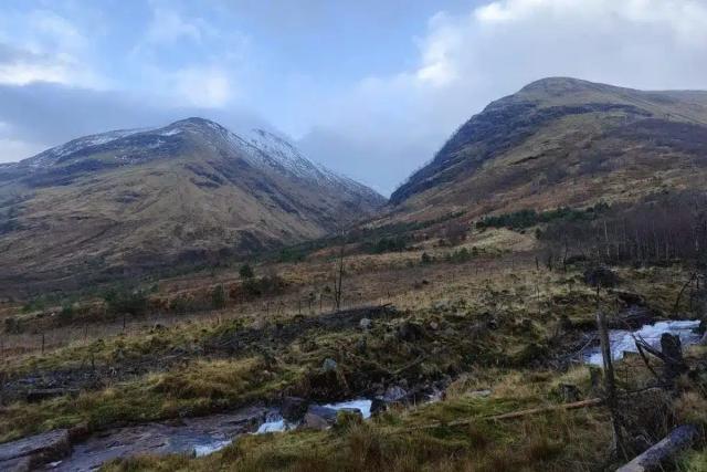 Achriabhach Forest