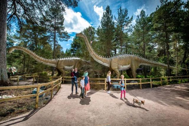 Landmark Forest Adventure Park