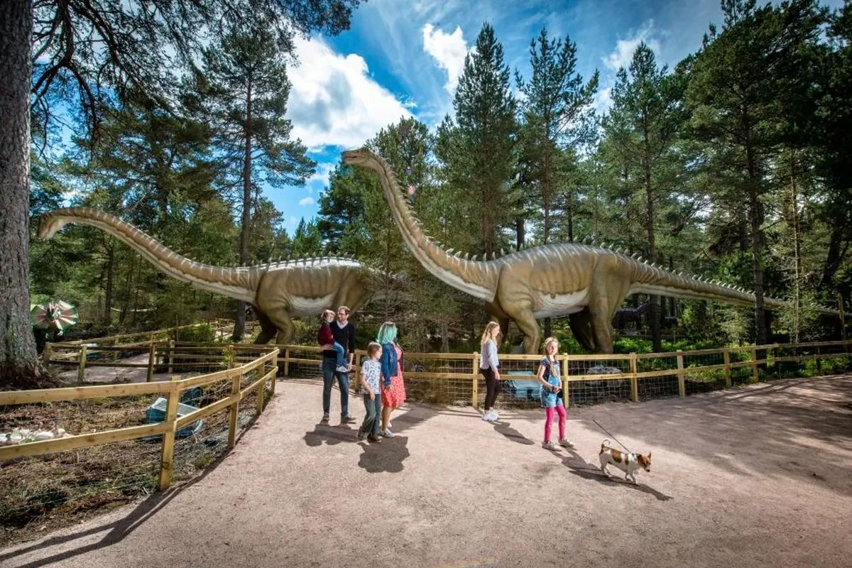 Landmark Forest Adventure Park