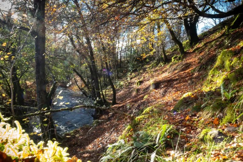 Autumn colours in the Scottish Highlands