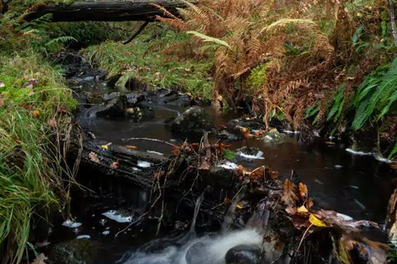 Cruim Leacainn hill walk behind Highwinds Lodge — moderate walk with views of Ben Nevis and Aonach Mor