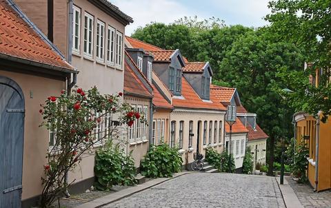 Hero image for Moving to Odense