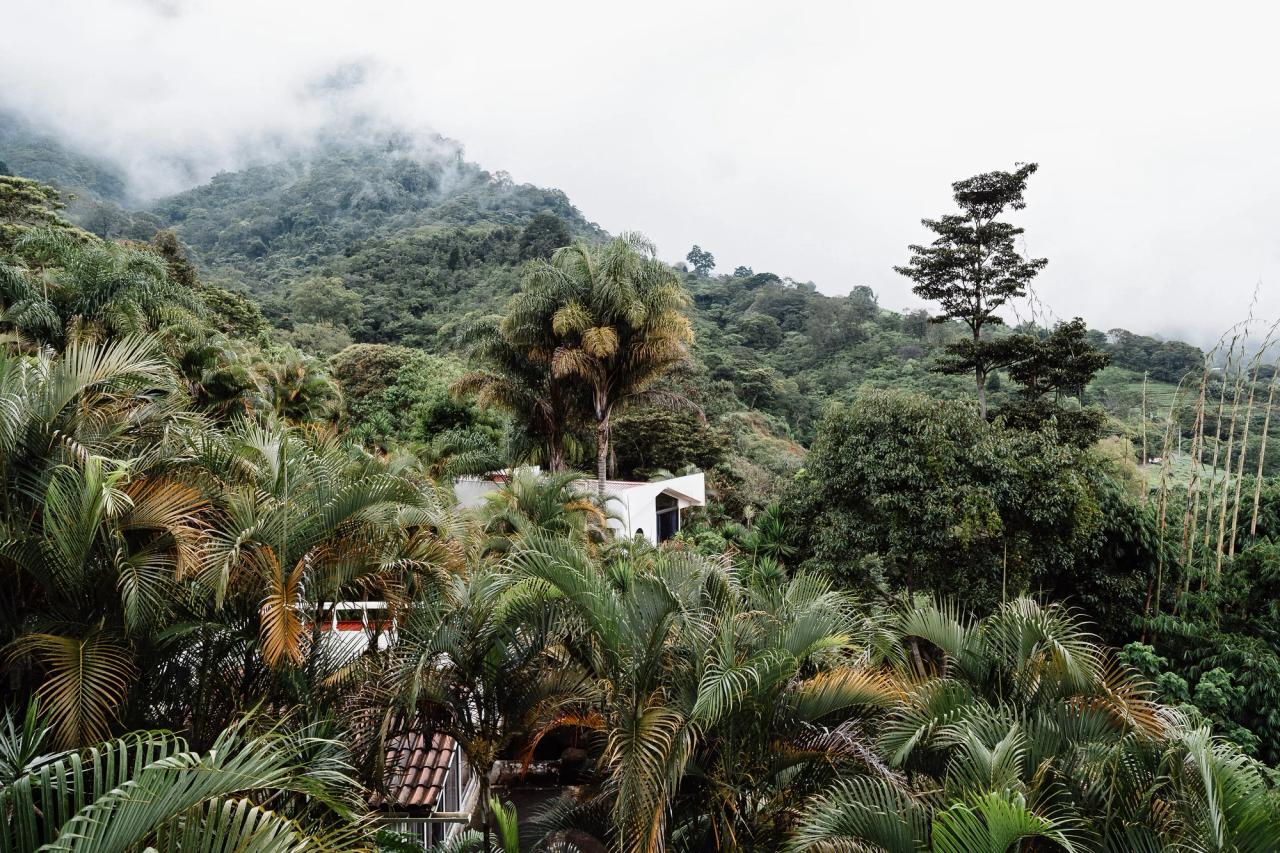 Hero image for Moving to Escazú