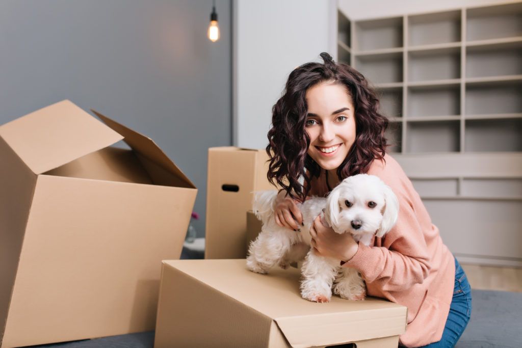 relocate with pet