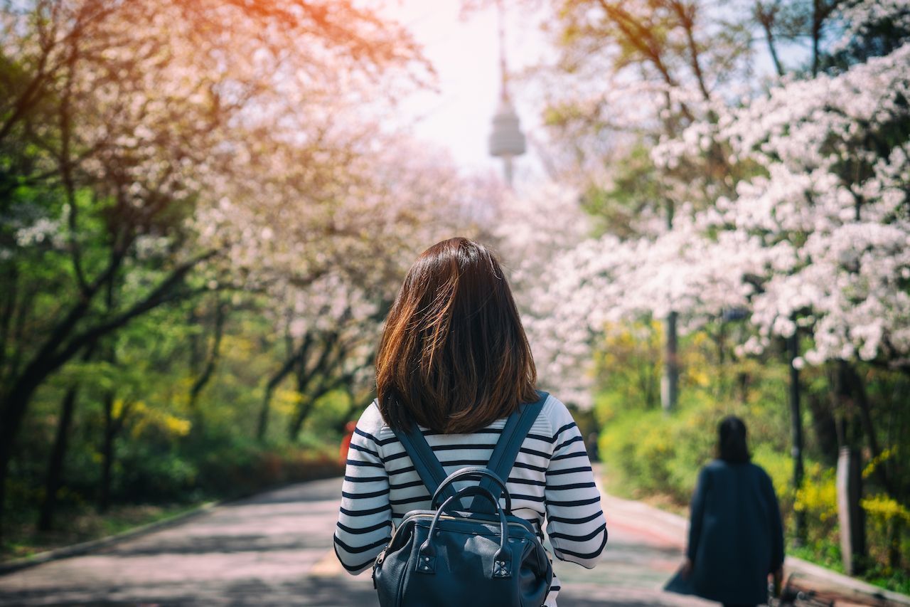 move to south korea as expat