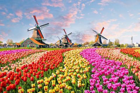 Hollanda'ya mı taşınıyorsunuz? 2026'da bilmeniz gereken her şey