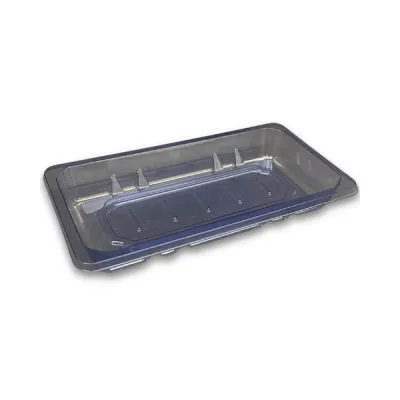 Sushi Tray PET BLU FT SH-S006