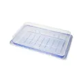 Sushi Tray PET BLU F SH-S015