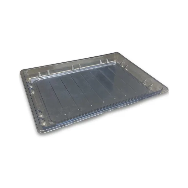 Sushi Tray PET BLU FT SH-S025