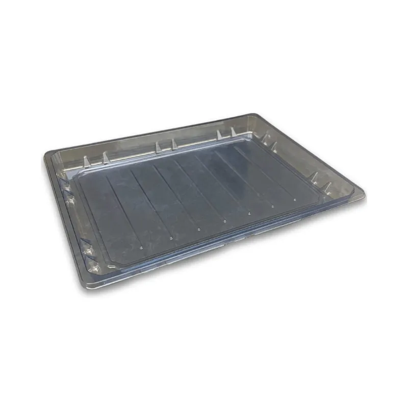 Sushi Tray PET BLU FT SH-S025
