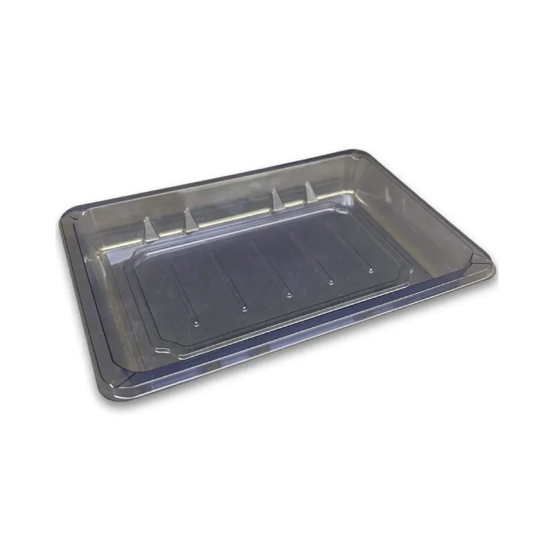 Sushi Tray PET BLU FT SH-S008