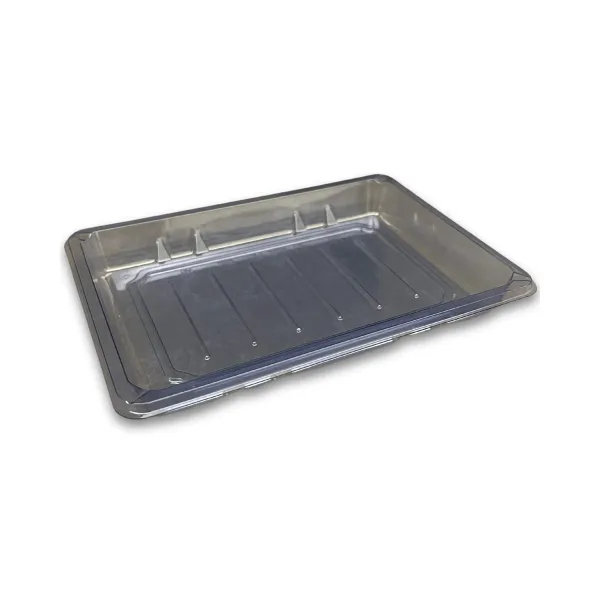 Sushi Tray PET BLU FT SH-S010