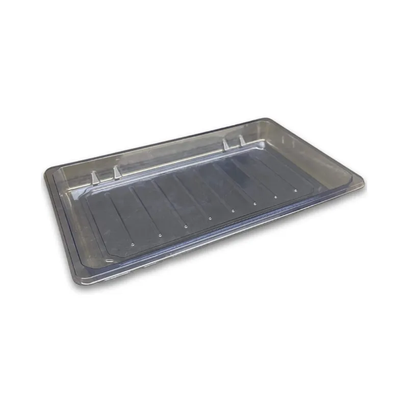 Sushi Tray PET BLU FT SH-S020