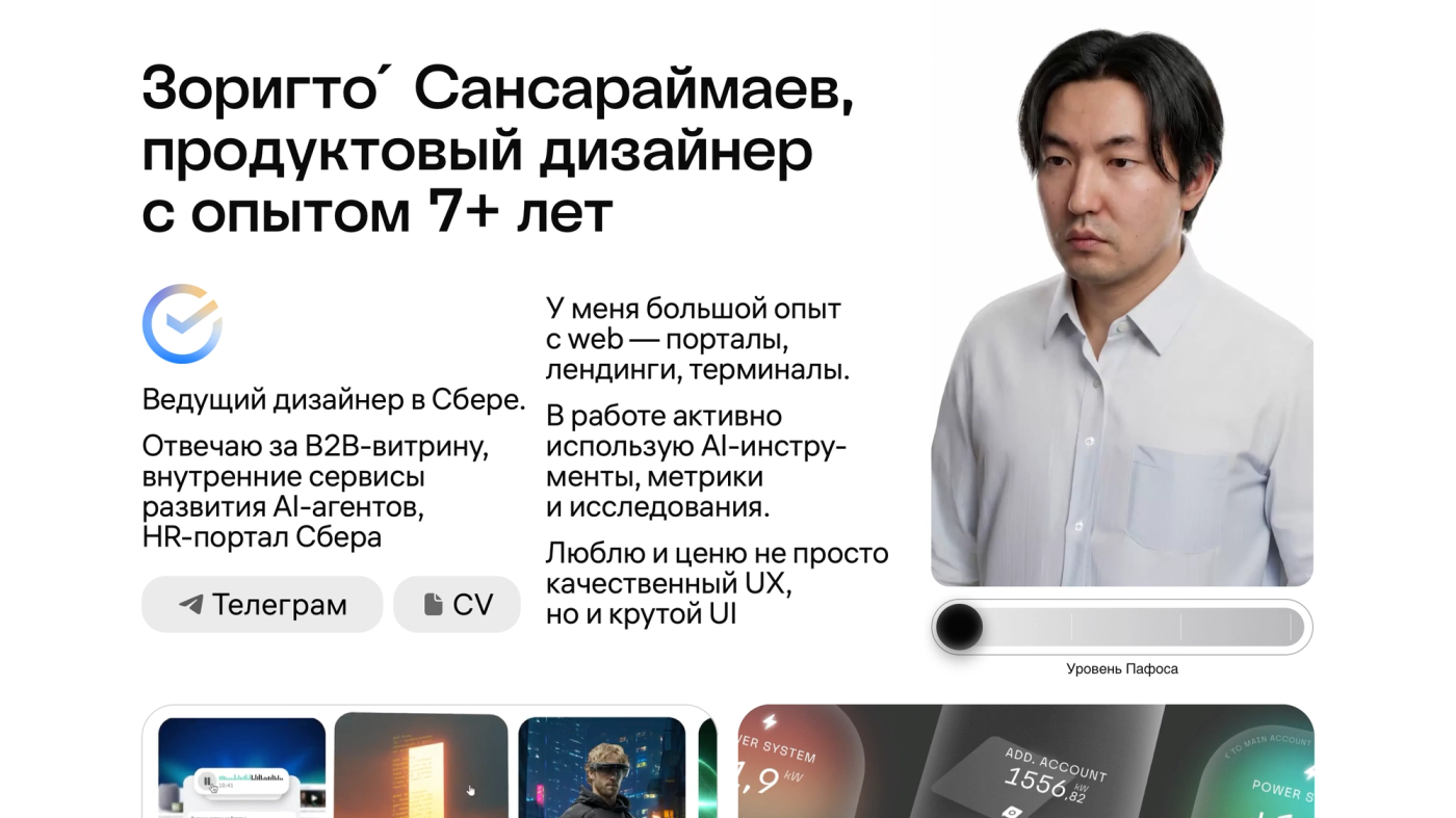 Zorigto Sansaraymayev's portfolio