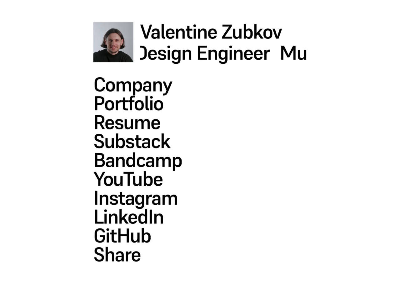 Valentine Zubkov portfolio cover
