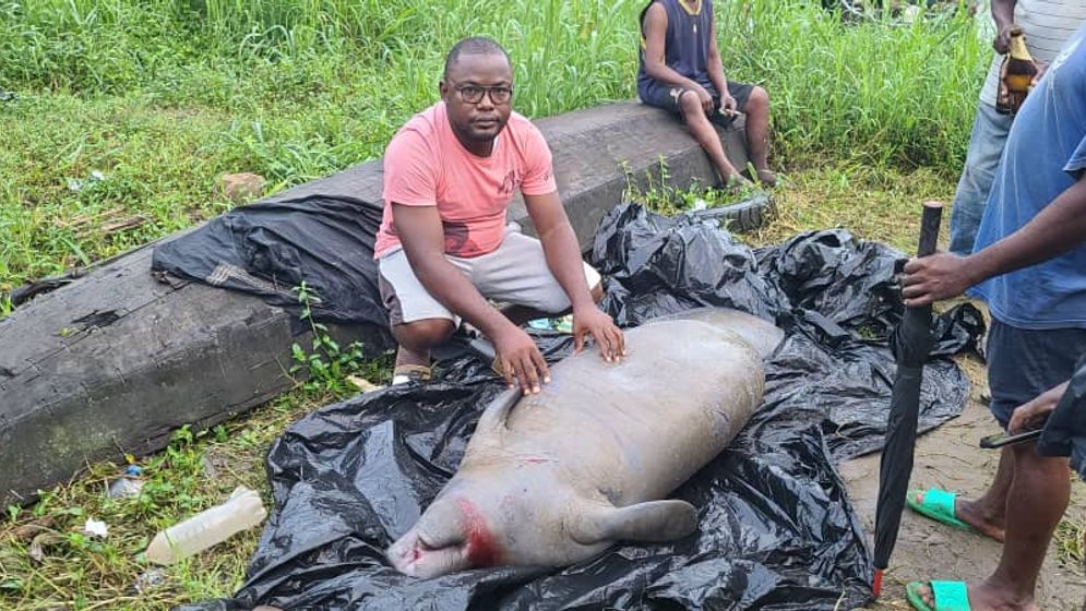Time to create a Manatee Sanctuary in Cameroon