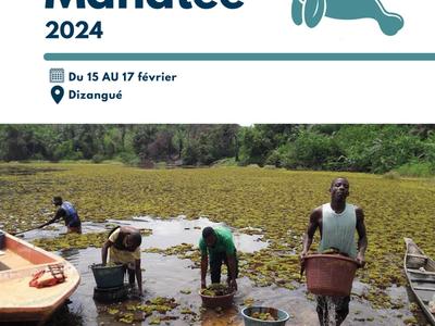 Cover for Rapport Street Manatee 2024