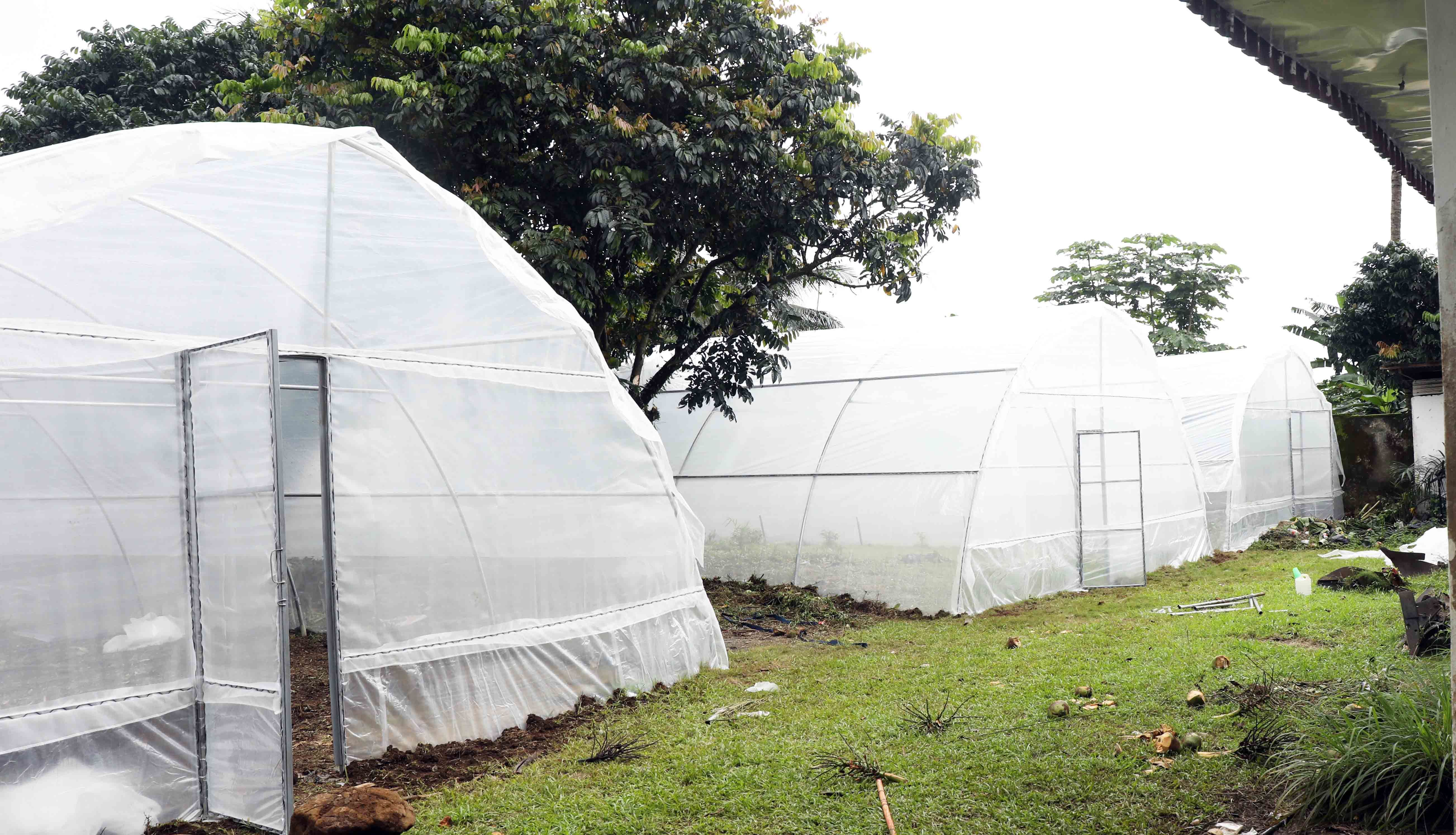 Community Greenhouse Project Offers Sustainable Income for Fishers in Limbe
