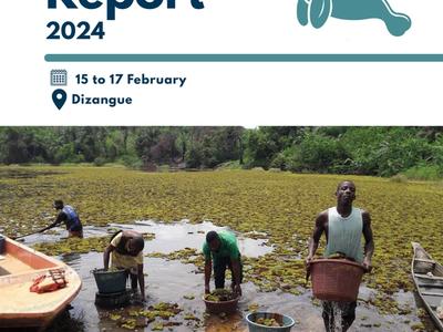 Cover for Street Manatee Report 2024